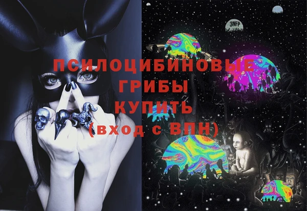 бошки Алзамай