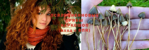 соль курить ск Алексеевка